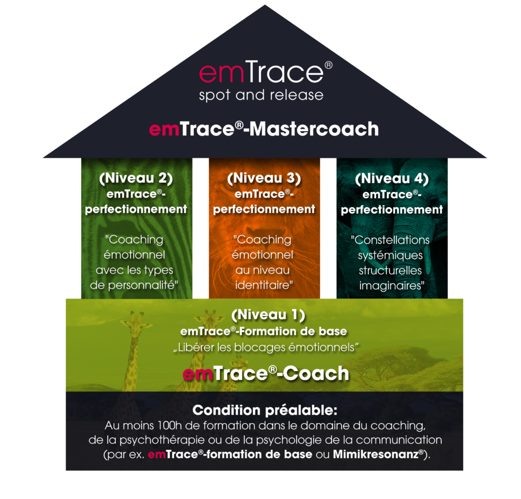 emtrace emtrace